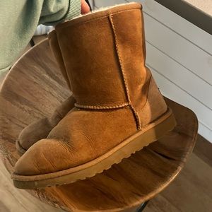 Uggs chestnut